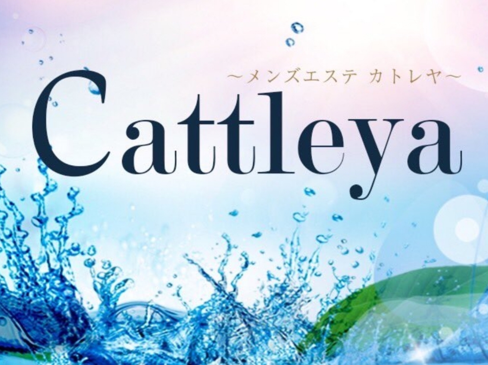 Cattleya [カトレヤ]