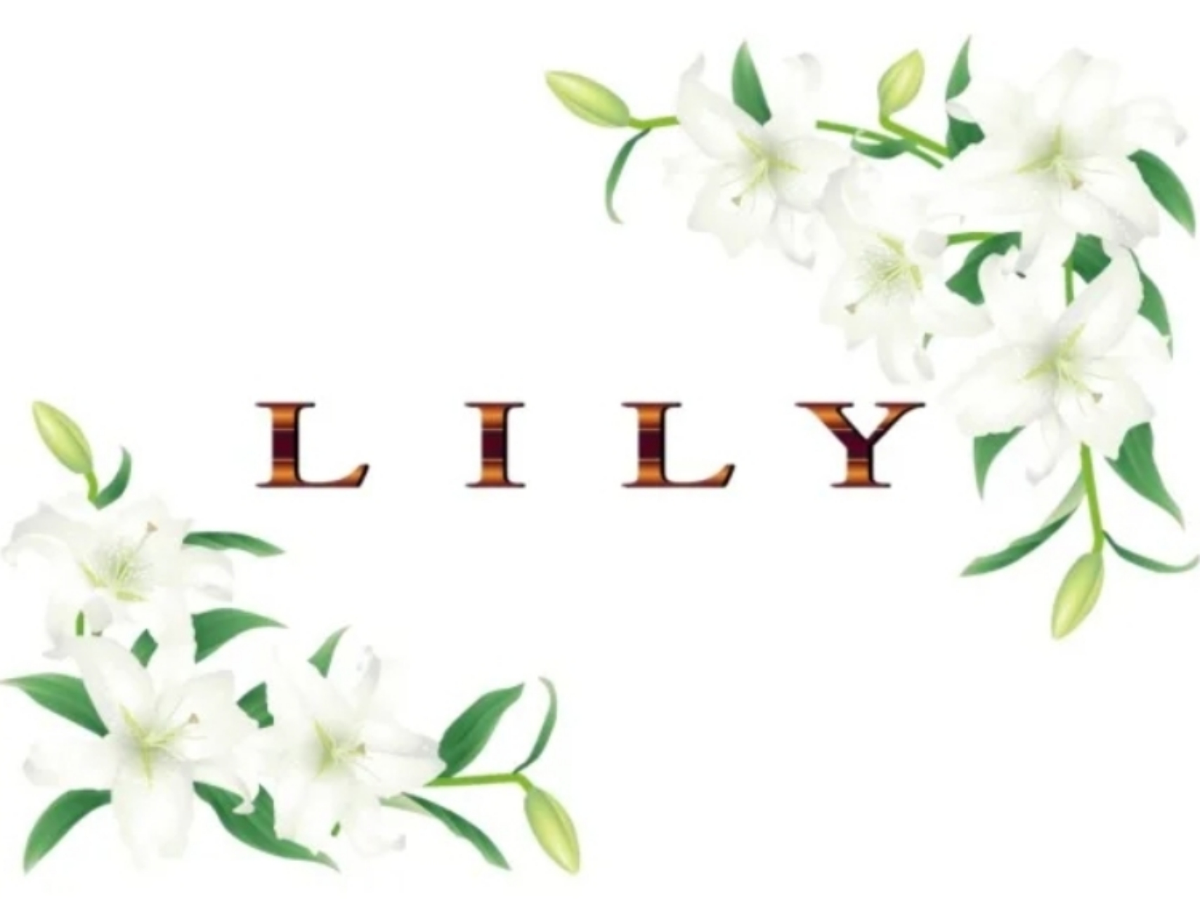 LILY [リリー]