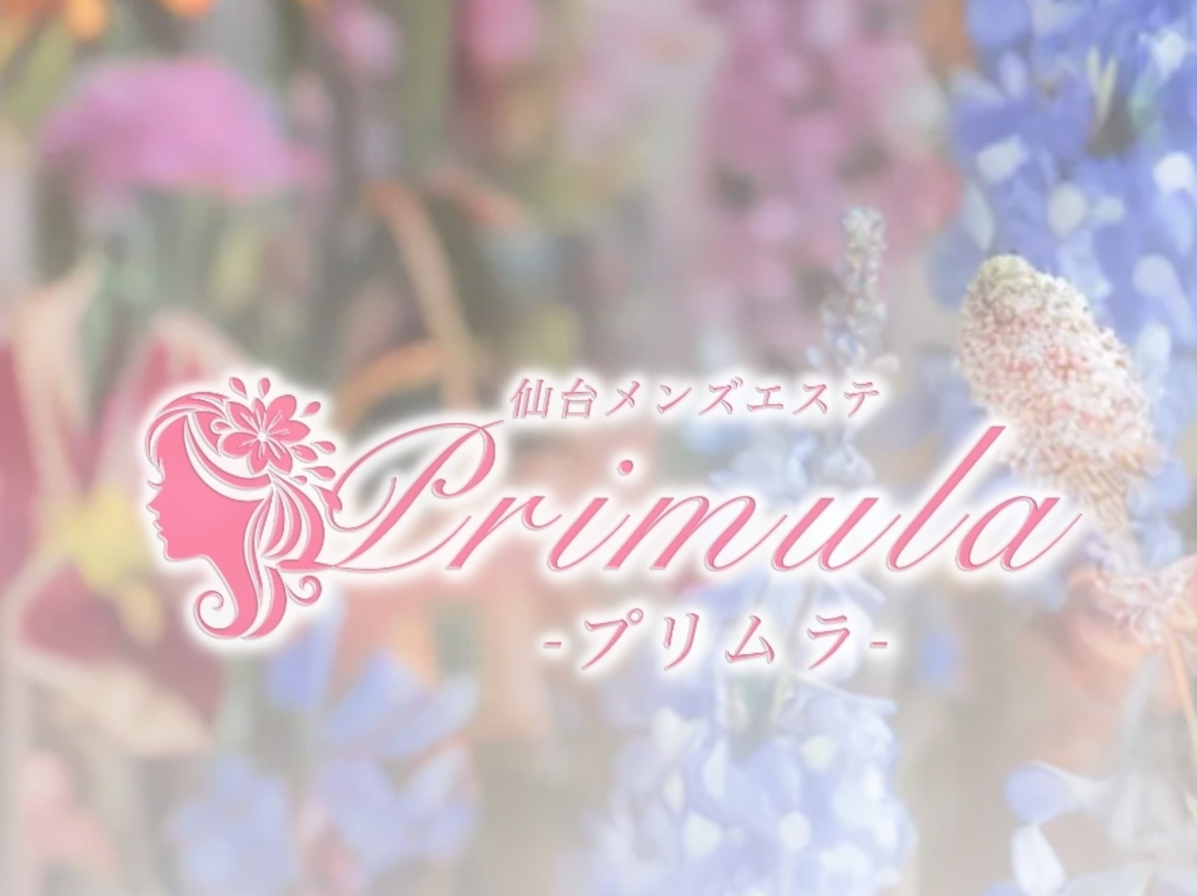 Primula [プリムラ]