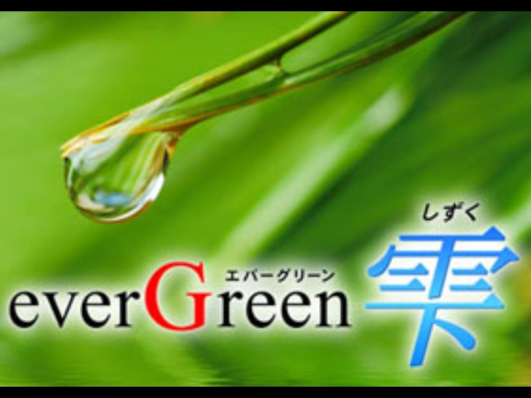 ever Green 雫 [エバーグリーンシズク]