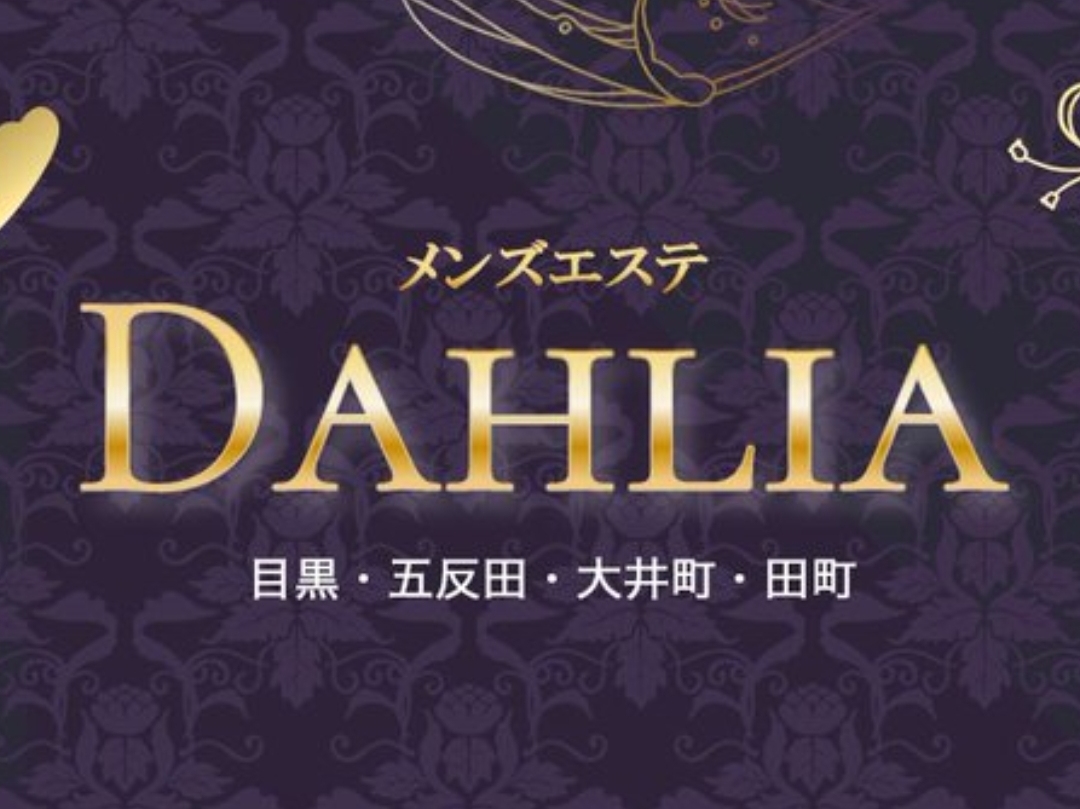 DAHLIA [ダリア]