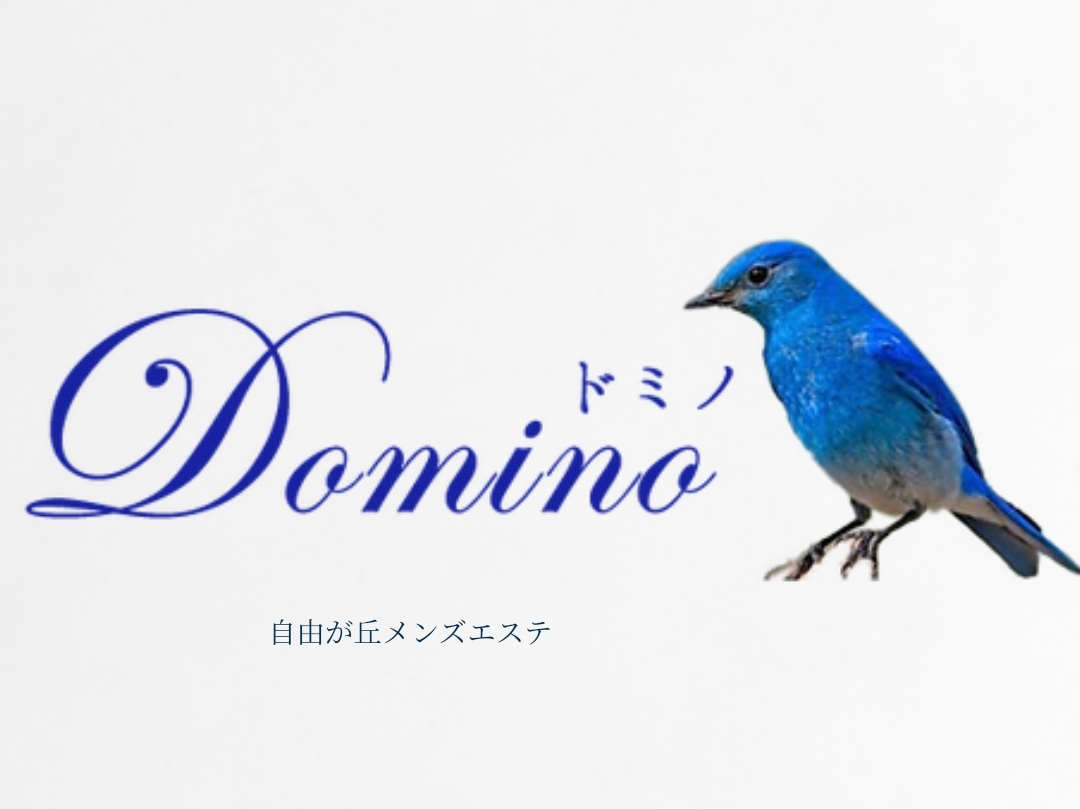 Domino [ドミノ]