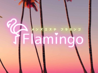 Flamingo [フラミンゴ]