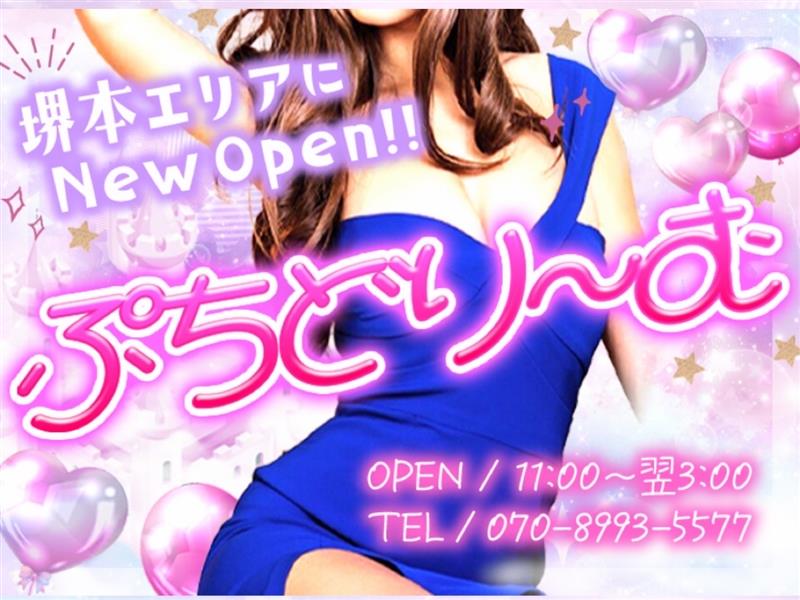 ぷちどり～む