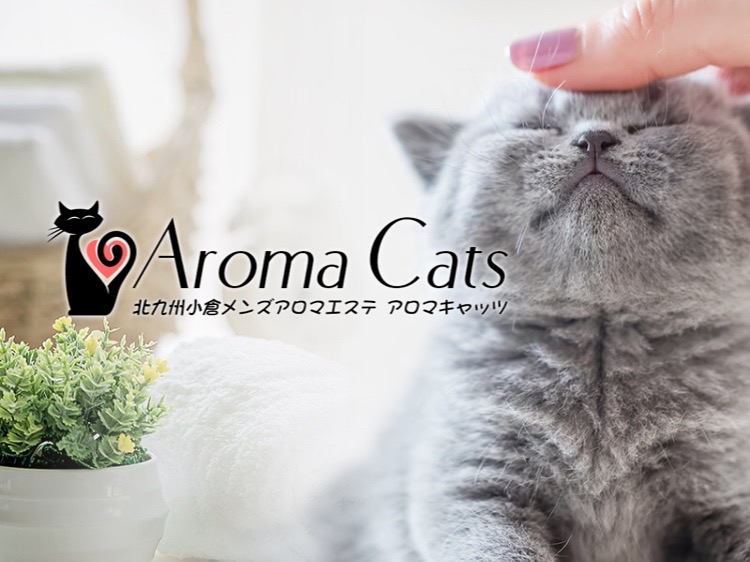 Aroma Cats [アロマキャッツ]