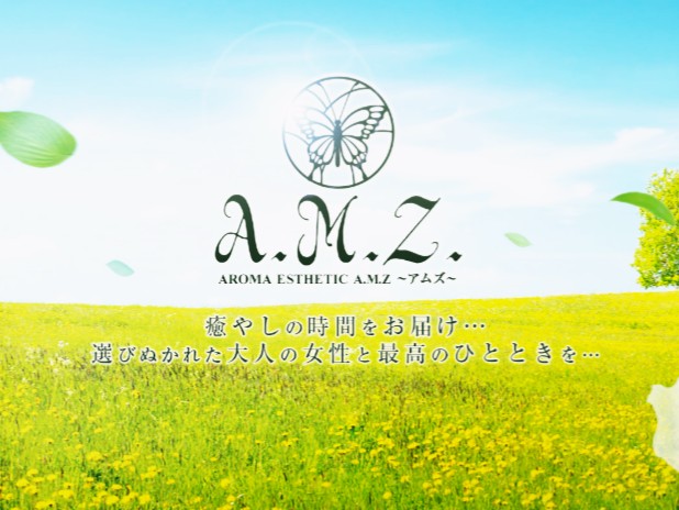 A.M.Z [アムズ]