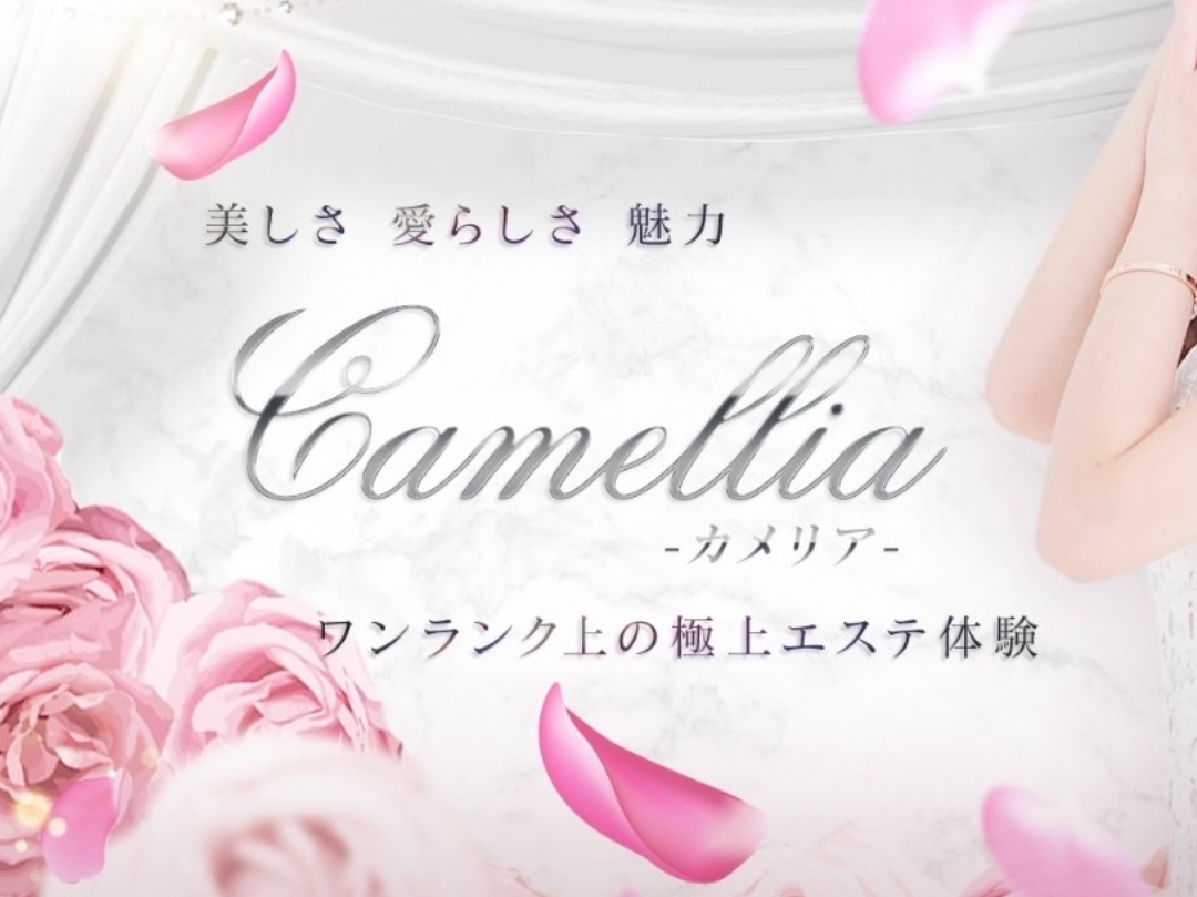 Camellia [カメリア]