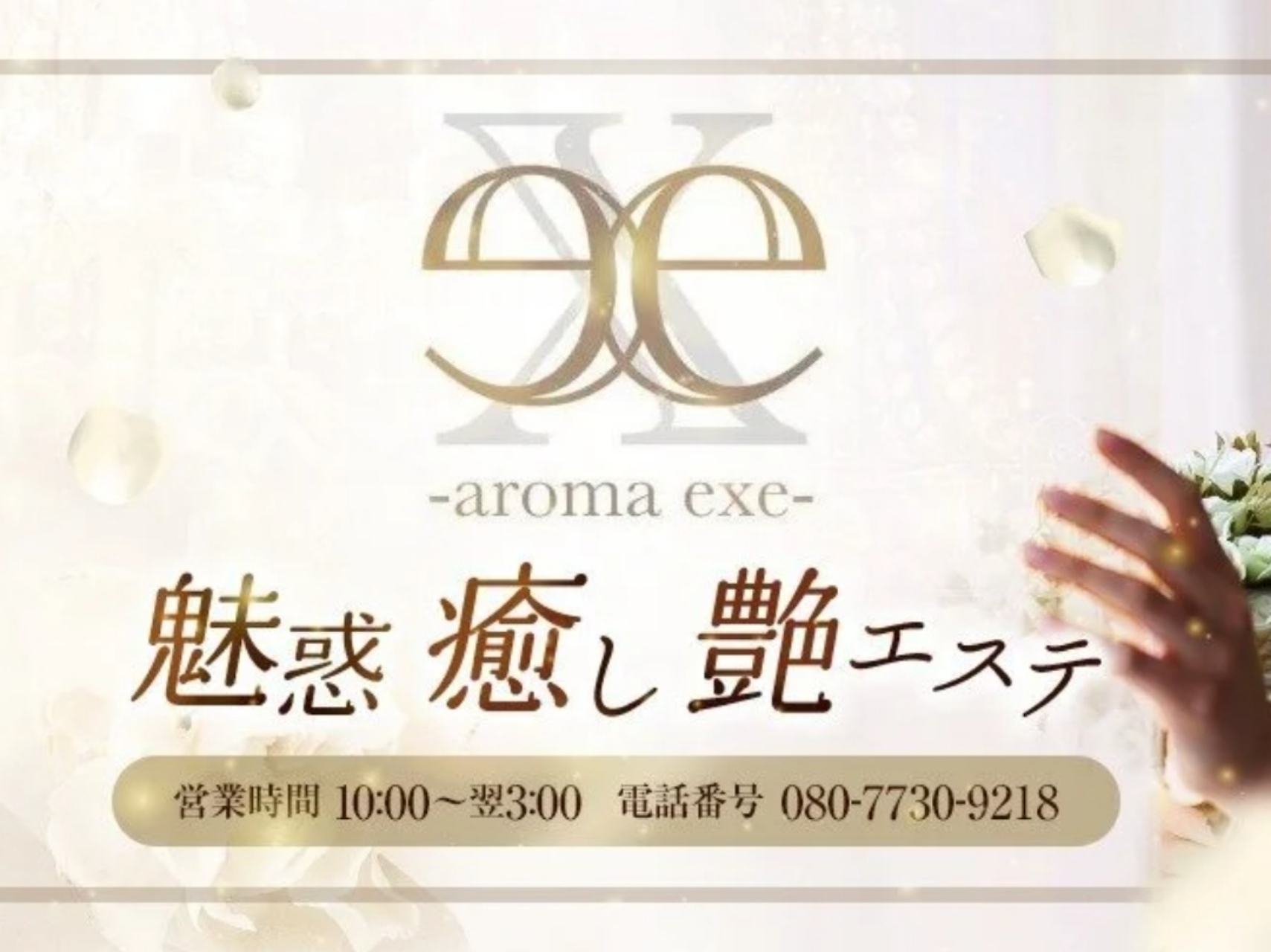 Aroma exe [アロマエグゼ]