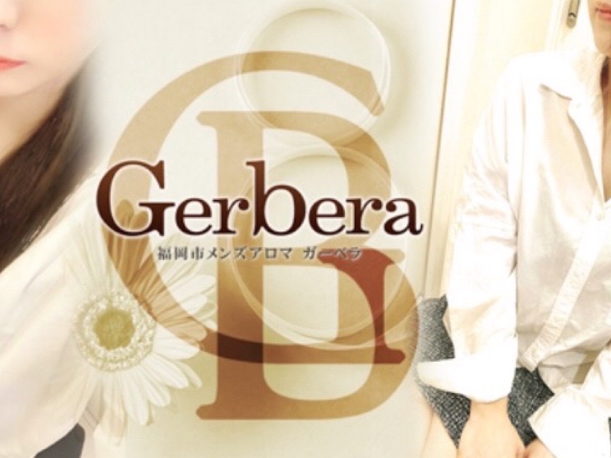 Gerbera [ガーベラ]