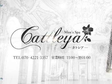 Cattleya [カトレア]