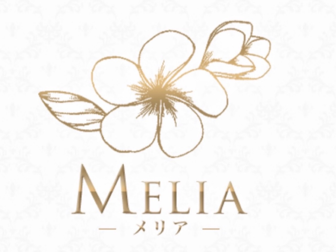MELIA [メリア]