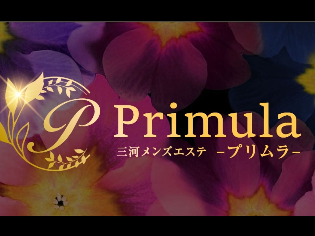 Primula [プリムラ] 三河