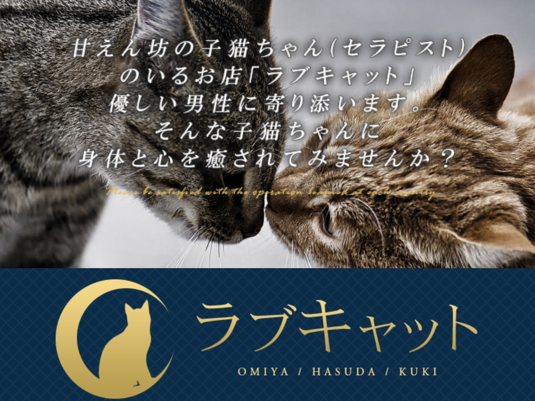 ラブキャット