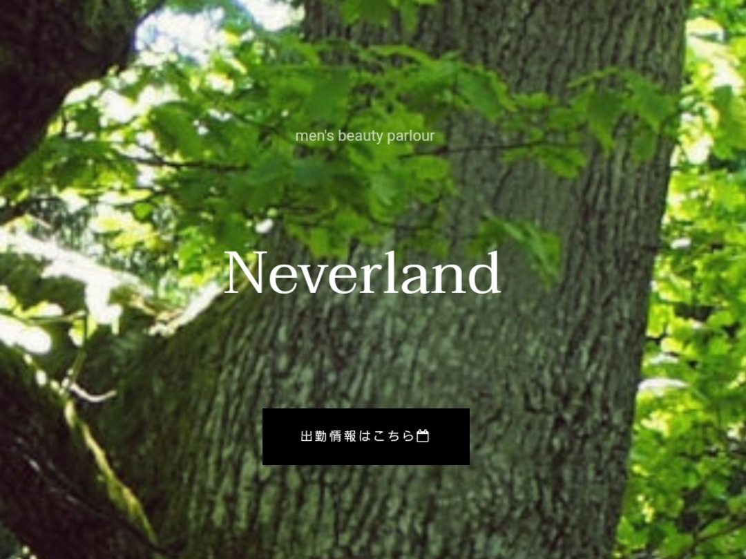 大人のNEVERLAND [ネバーランド]