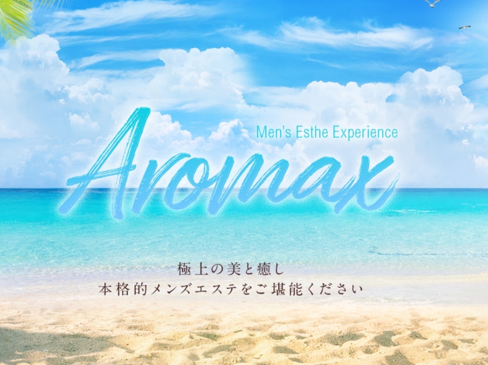 AROMAX [アロマックス]