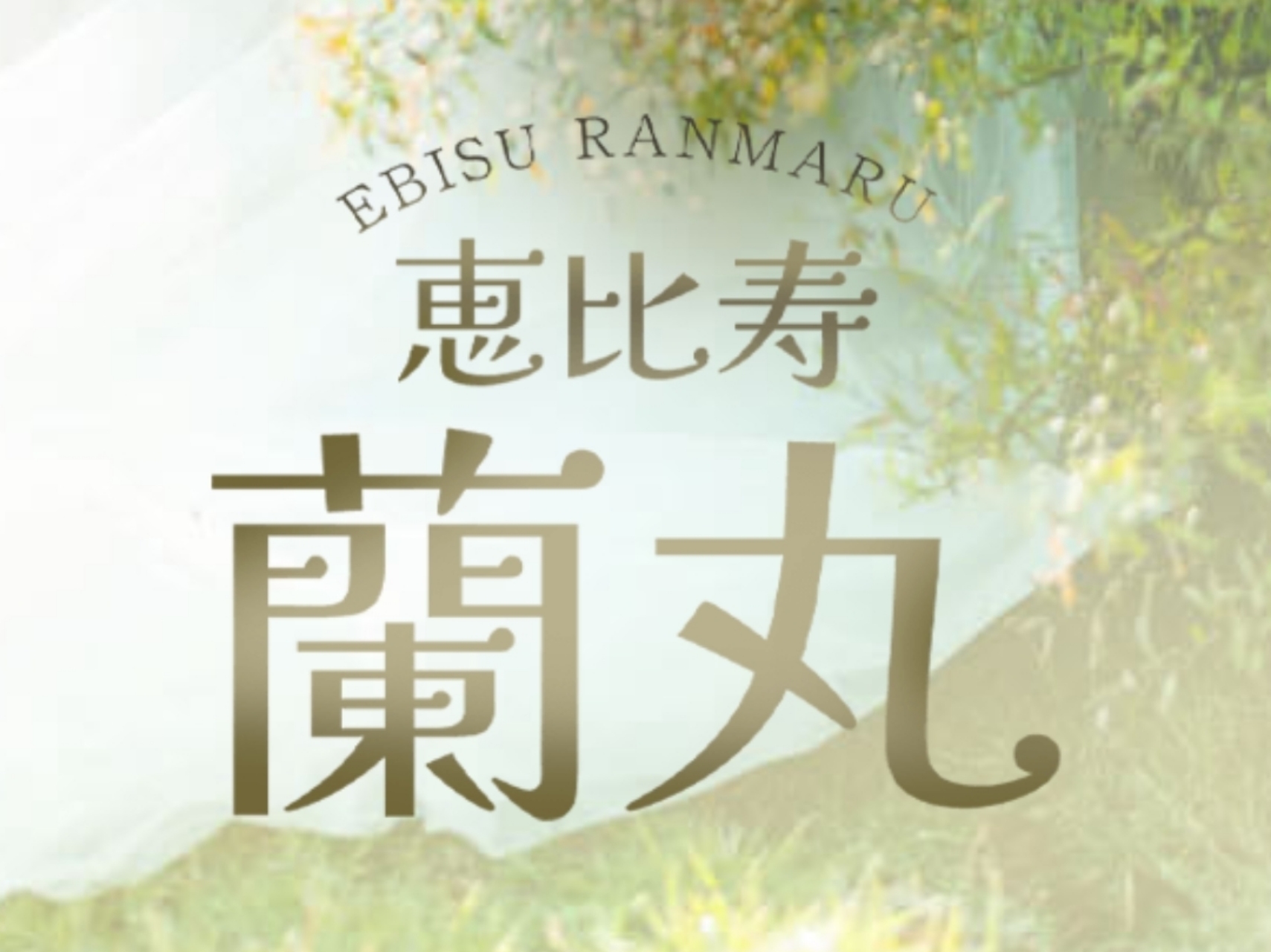 蘭丸 [ランマル]