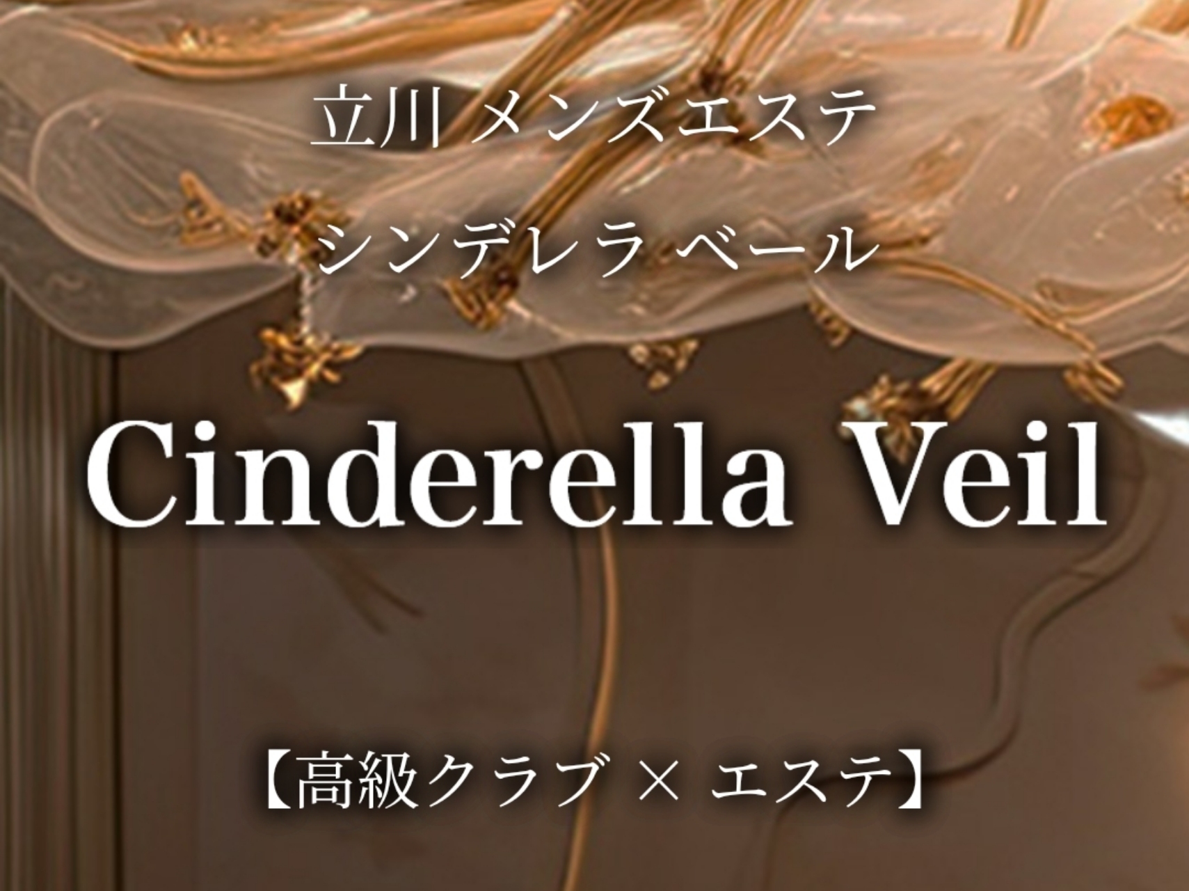 Cinderella Veil [シンデレラベール]