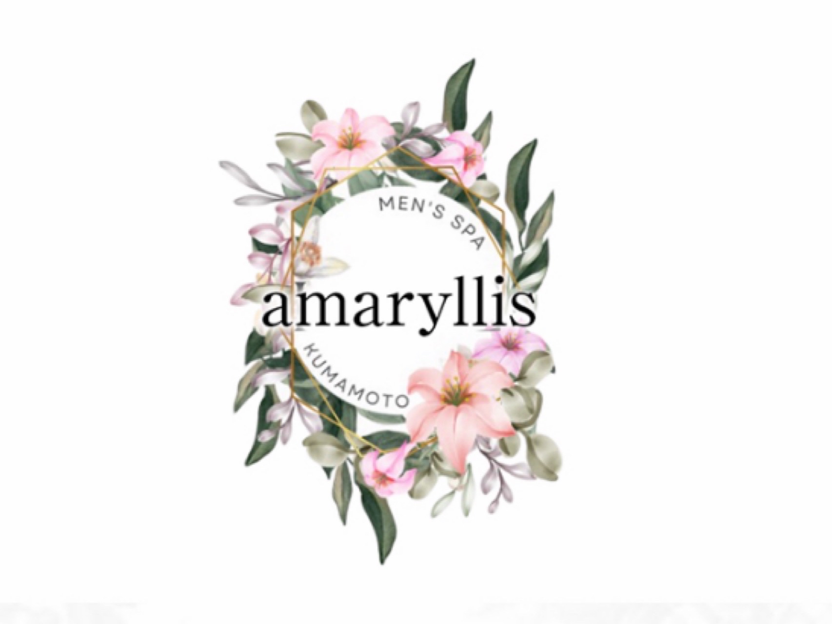 amaryllis [アマリリス]