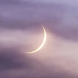 MOON LIGHT ムーンライト