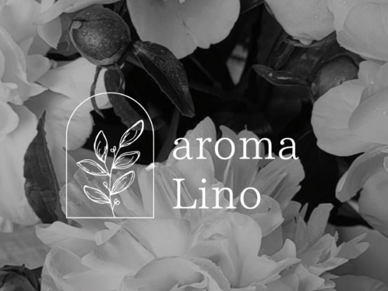aroma Lino [アロマリノ]
