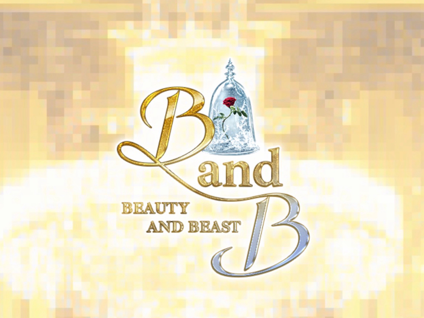 B and B [ビューティーアンドビースト]