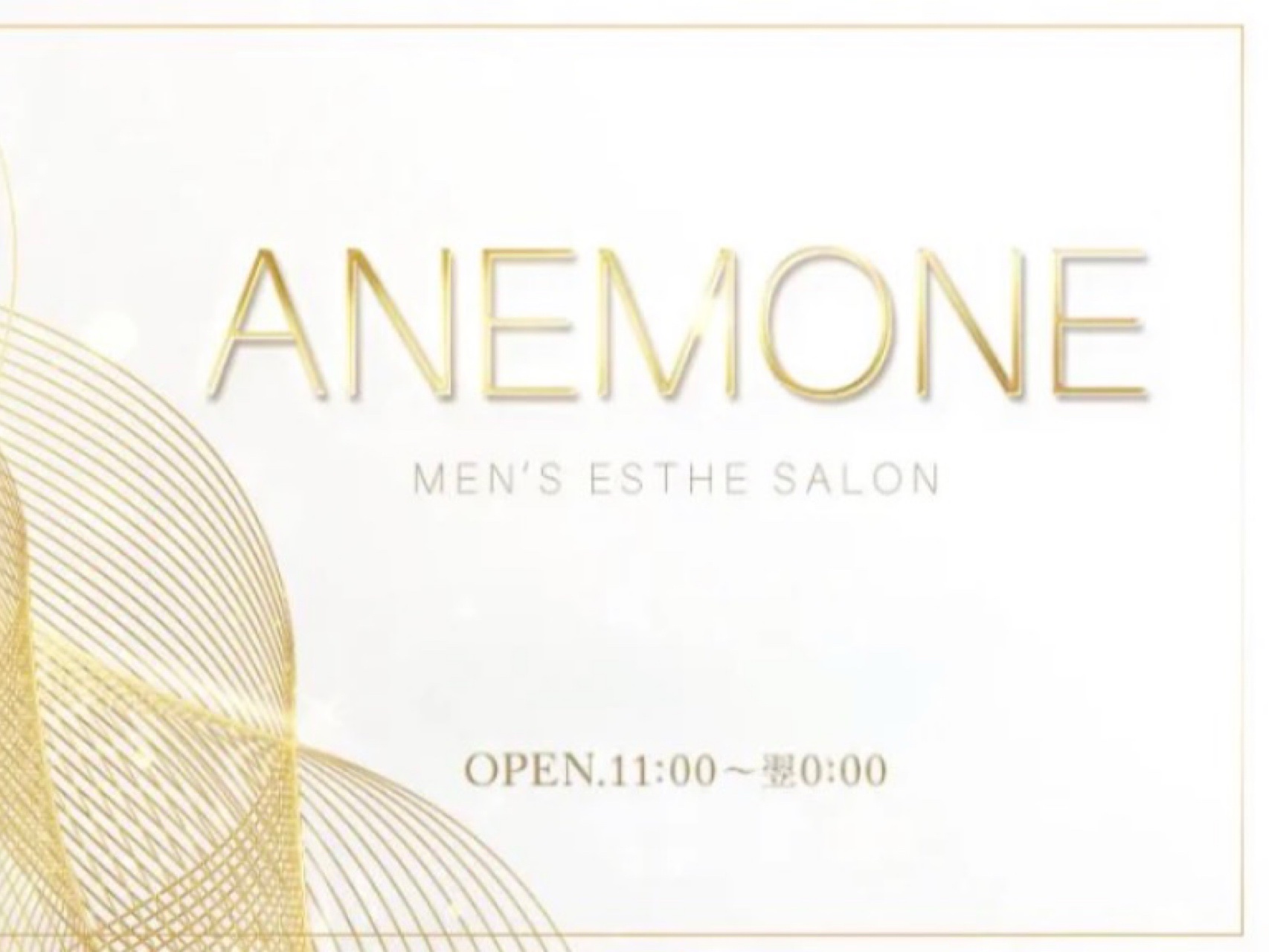 ANEMONE [アネモネ]