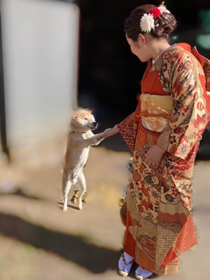 おもち