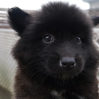 テストユーザー4